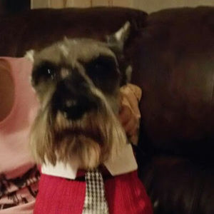 Meet your Posher, Esperanza